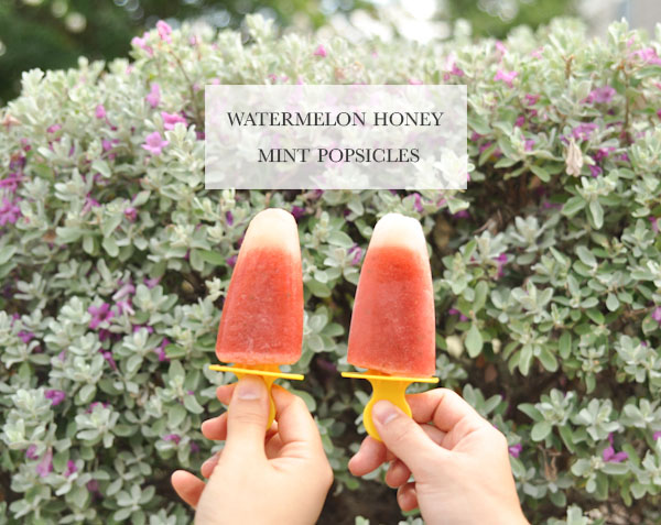 Watermelon Honey Mint Popsicles