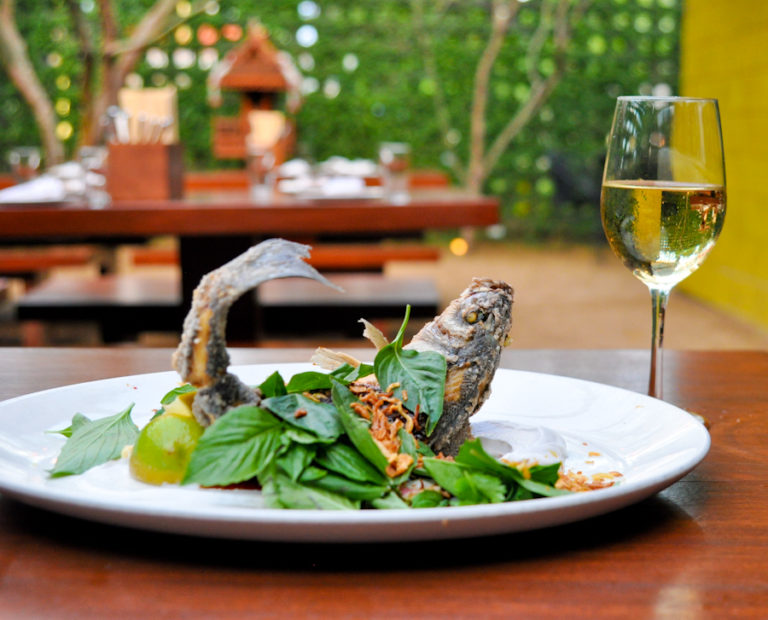 The Best Thai Restaurants in Austin Girl Eats World