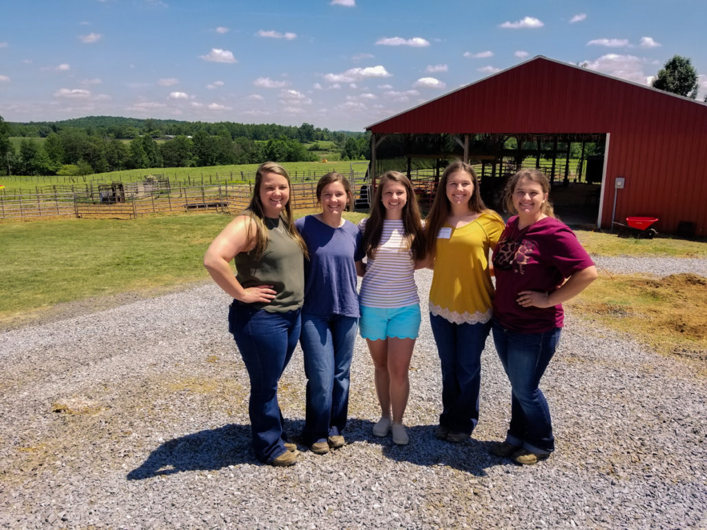 North Carolina Cattle Industry - Harward Sisters Farm
